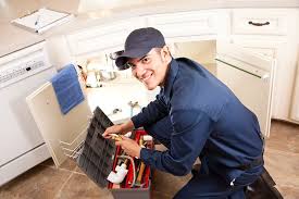 Professional Plumbung Services in Blennerhassett, WV